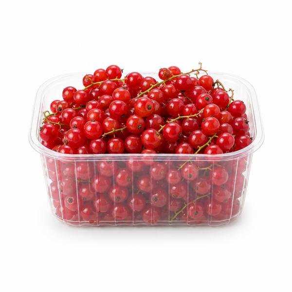 Redcurrants