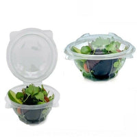 Round Hinged Salad Container (7 Sizes)
