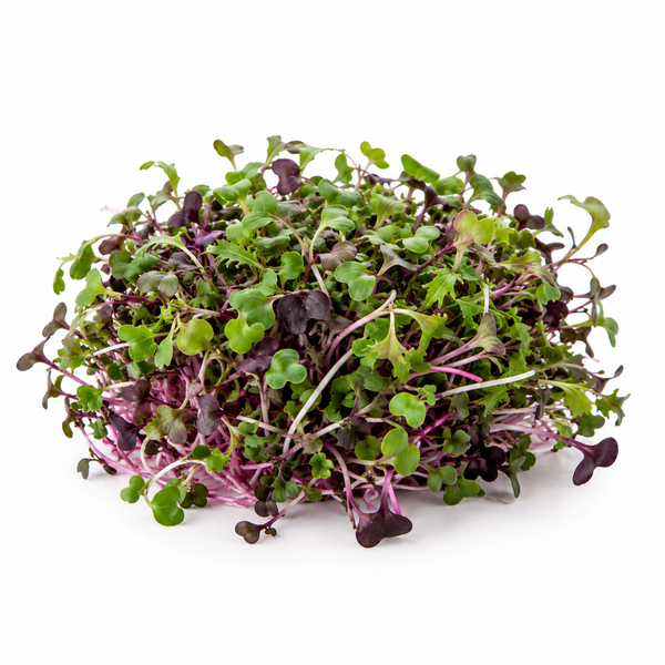 Sakura Mix Cress