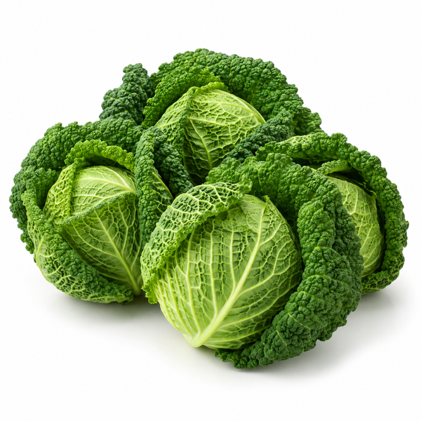 Savoy Cabbage