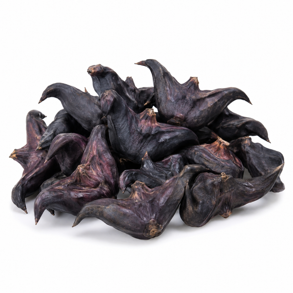 Singoda