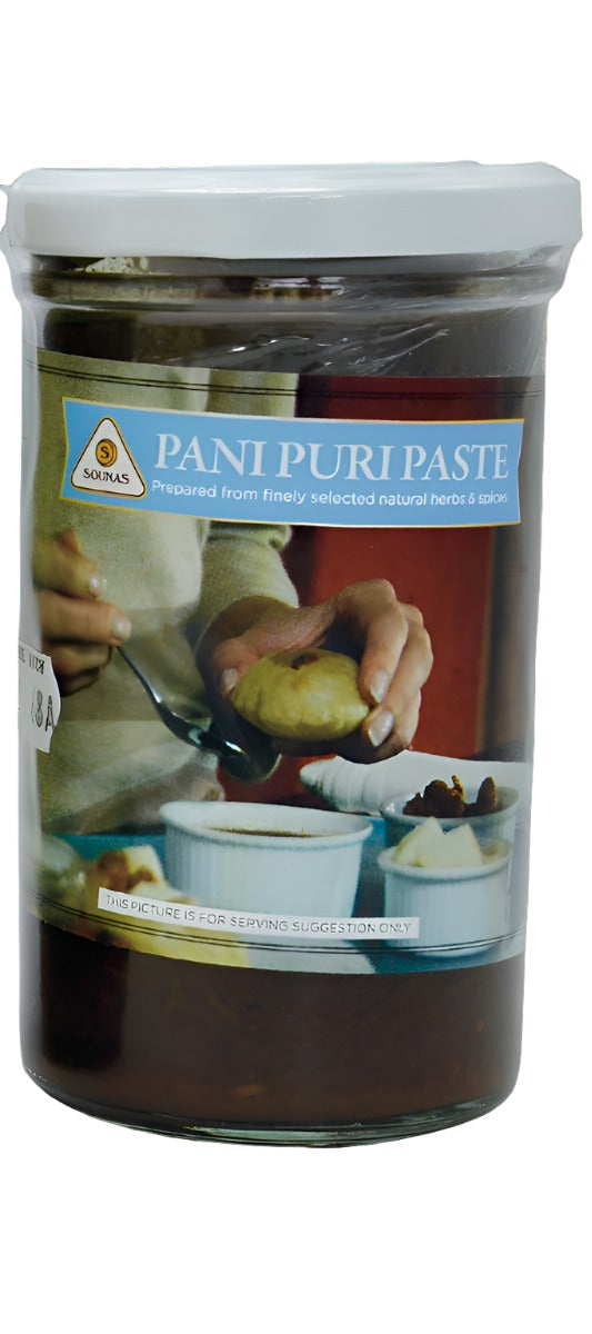 Sounas Pani Puri Paste