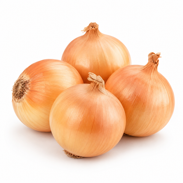Spanish Onion