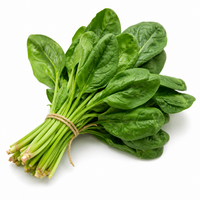 Spinach