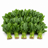 Spinach