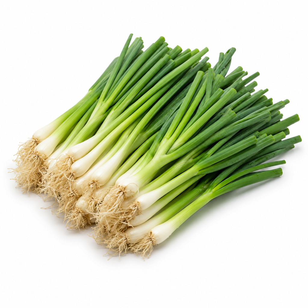 Spring Onion