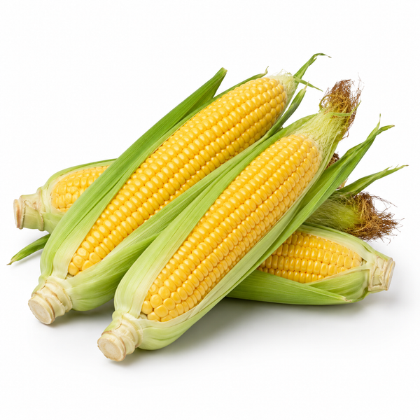 Sweet Corn