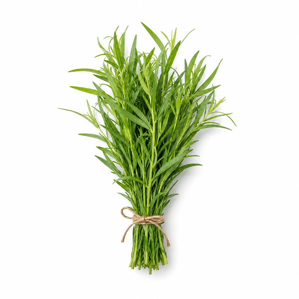 Tarragon