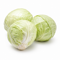 White Cabbage
