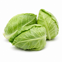White Cabbage