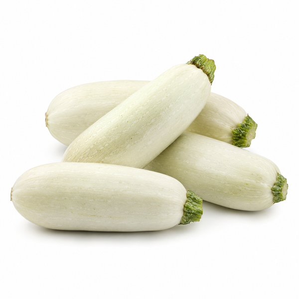 White Marrow
