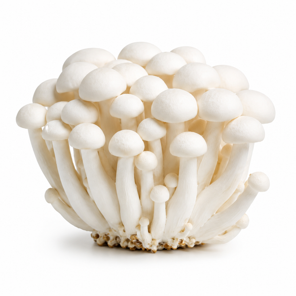 White Shimeji Mushroom